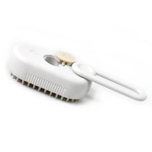 Electric Spray Handle Massage Brush Hair Removal Brush Steam